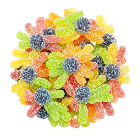 Sour Octopus
